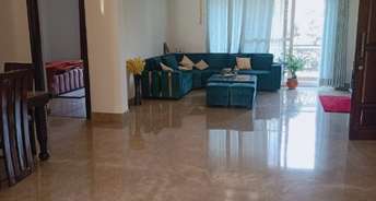 3 BHK Builder Floor For Rent in Sector 9 Chandigarh 6477844
