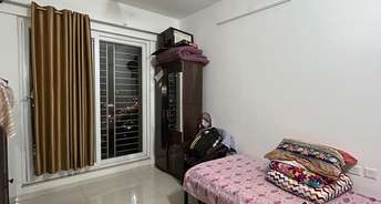 2 BHK Apartment For Rent in Legacy Eden Tathawade Pune 6477935
