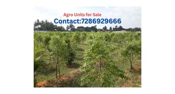  Plot For Resale in Brundhavan Telaprolu Telaprolu Vijayawada 6478085