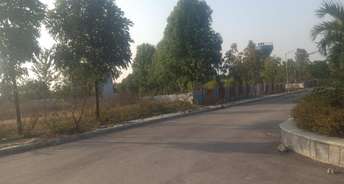  Plot For Resale in Bhanur Hyderabad 6478426