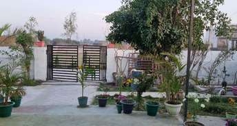  Plot For Resale in Noida Authority Apartment Sector 99 Noida 6478571