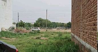  Plot For Resale in Sector 25 Phase 2 Panipat 6478798