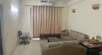 Studio Apartment For Rent in Ocus 24K Gurgaon Sector 68 Gurgaon 6478901