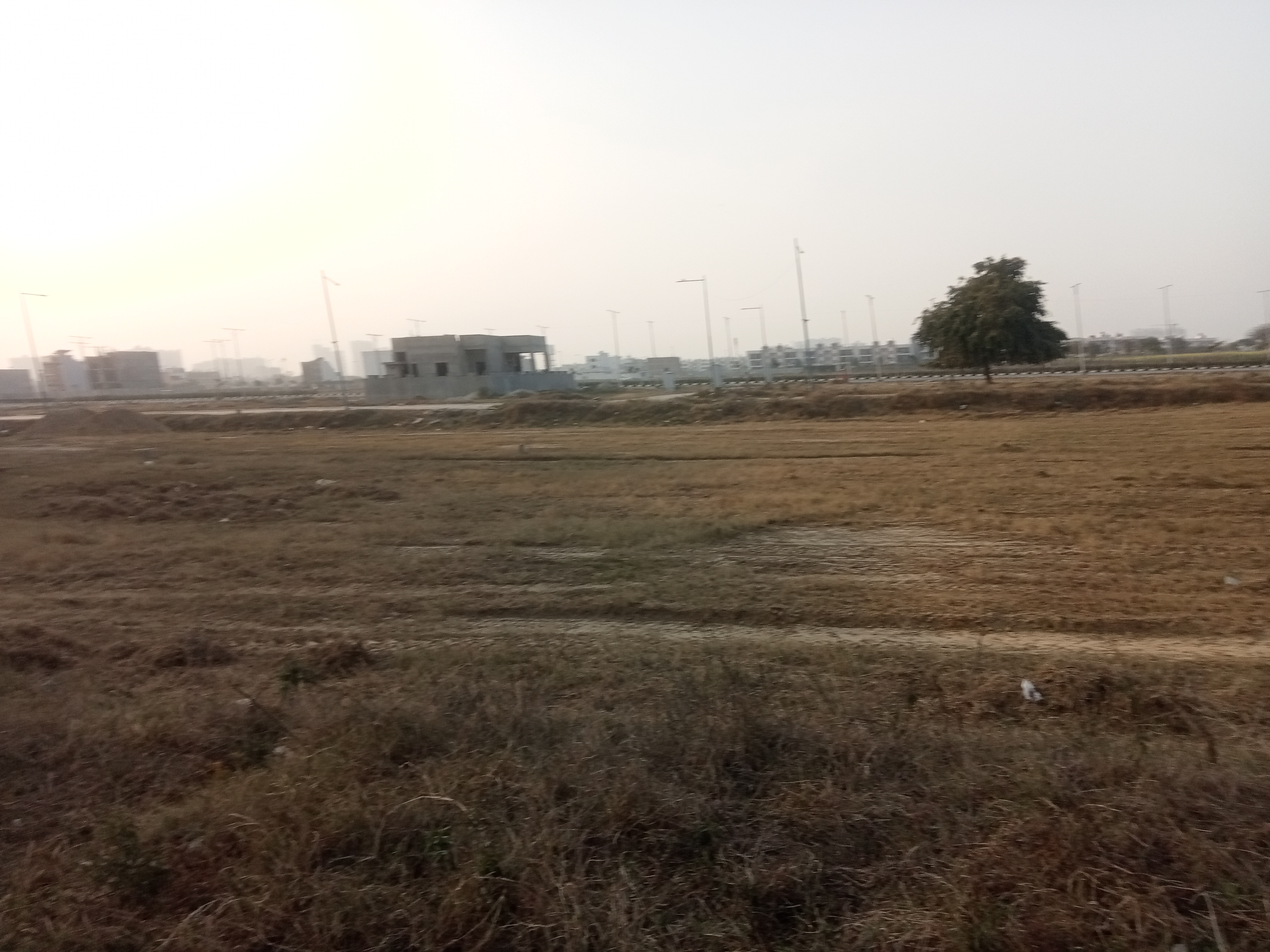 Plot For Resale in Pinewood Enclave Wave City Ghaziabad  6479070