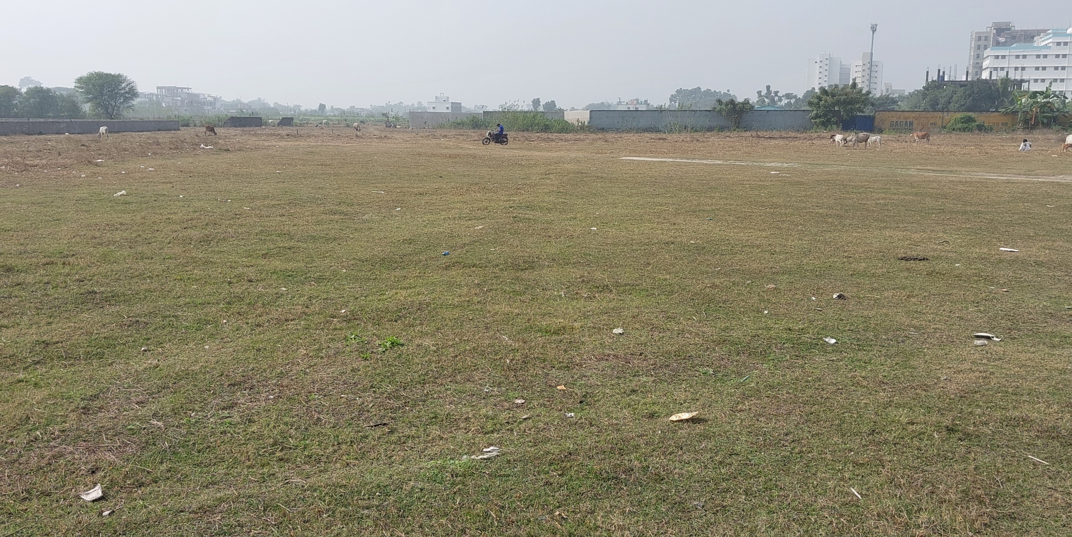 Plot For Resale in Uniworld City Kolkata  6479101