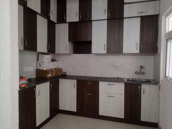 2 BHK Apartment For Rent in Newtech La Palacia Noida Ext Tech Zone 4 Greater Noida  6479175