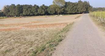  Plot For Resale in Hasanganj Lucknow 6479216