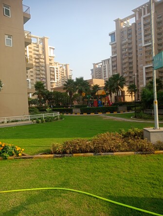 5 BHK Apartment For Resale in Emaar Palm Gardens Sector 83 Gurgaon  6479274