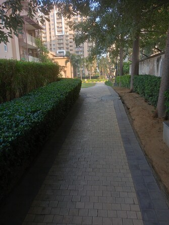 5 BHK Apartment For Resale in Emaar Palm Gardens Sector 83 Gurgaon  6479274