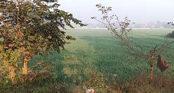 Commercial Land 2720 Sq.Ft. For Resale In Rahim Nagar Lucknow 6480039