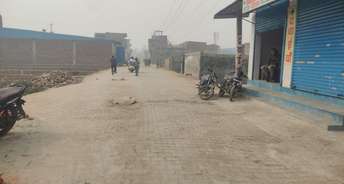 Commercial Shop 20 Sq.Yd. For Resale In Sector 51 Faridabad 6480160