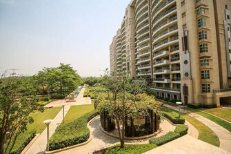 4 BHK Apartment For Resale in DLF The Aralias Sector 42 Gurgaon  6480261