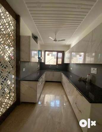 3 BHK Builder Floor For Rent in Sector 38 Chandigarh 6480653