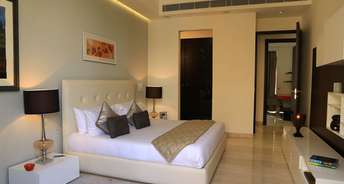 2 BHK Apartment For Resale in Ambience Creacions Sector 22 Gurgaon 6481001