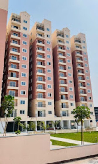 3 BHK Apartment For Resale in Urbanrise Spring Is In The Air Ameenpur Hyderabad  6481020