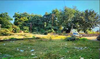 Commercial Land 300 Sq.Yd. For Resale In Veerbhadra Road  Rishikesh 6481125