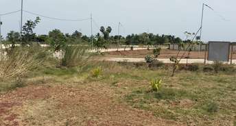  Plot For Resale in Thanjore Road Trichy 6481850