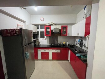 2 BHK Apartment For Resale in Hawelia Valenova Park Noida Ext Tech Zone 4 Greater Noida  6482305