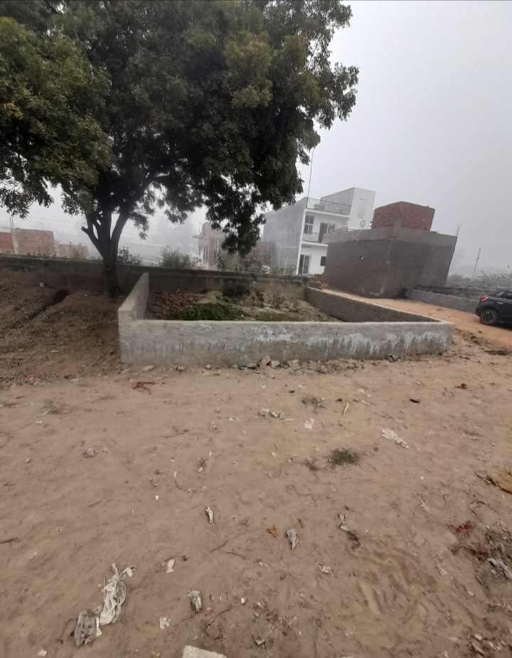 Plot For Resale in Jewar Greater Noida  6482899