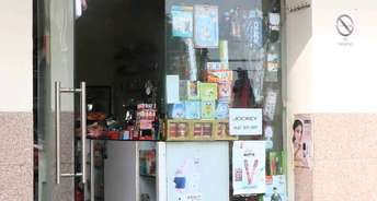 Commercial Shop 350 Sq.Ft. For Resale In Sector 93 Gurgaon 6483356