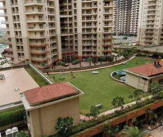 3.5 BHK Apartment For Resale in Sam Palm Olympia Phase II Noida Ext Sector 16c Greater Noida  6483693