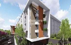 3 BHK Apartment For Rent in Modern Soul Tree Bliss Sarjapur Road Bangalore 6484119