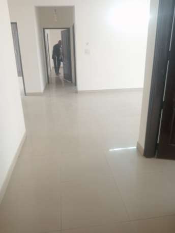 3.5 BHK Apartment For Rent in Omaxe The Nile Sector 49 Gurgaon 6484156