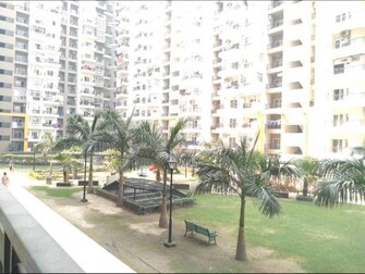 3 BHK Apartment For Resale in Gulshan Ikebana Sector 143 Noida  6484188