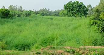 Commercial Land 10 Acre For Resale In Lok Nagar Unnao 6484189