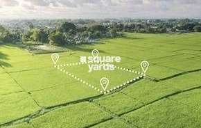  Plot For Resale in Panchvati Lucknow Gosainganj Lucknow 6485216