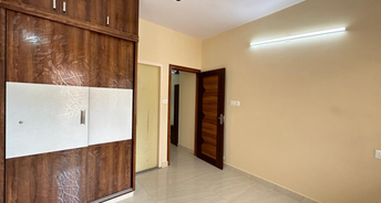 1 BHK Apartment For Rent in Domlur Bangalore 6485324