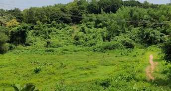  Plot For Resale in Bajpe Mangalore 6485486