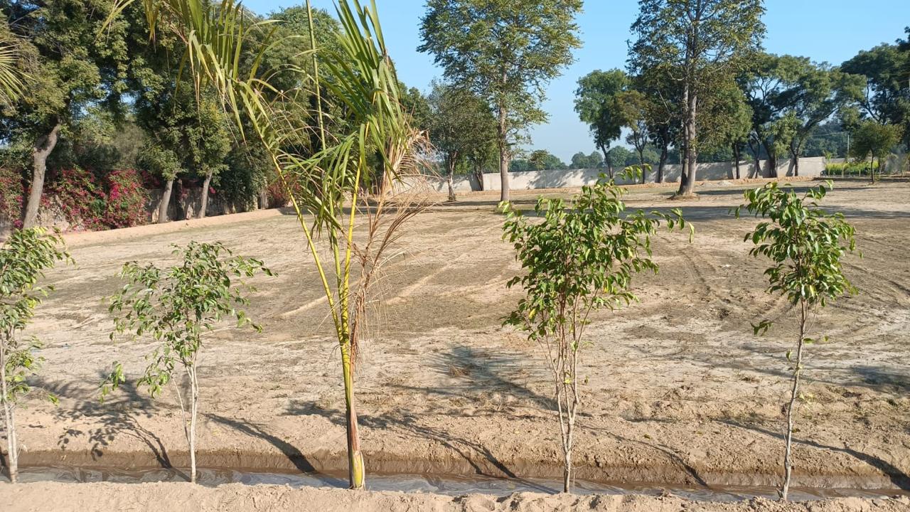 2 BHK Villa in Madanpuri, Gurgaon 2 BHK Villa in Madanpuri, Gurgaon