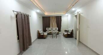2.5 BHK Builder Floor For Rent in Sector 63 Chandigarh 6485697