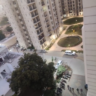 2 BHK Apartment For Resale in Signature The Serenas Sohna Sector 36 Gurgaon  6485879