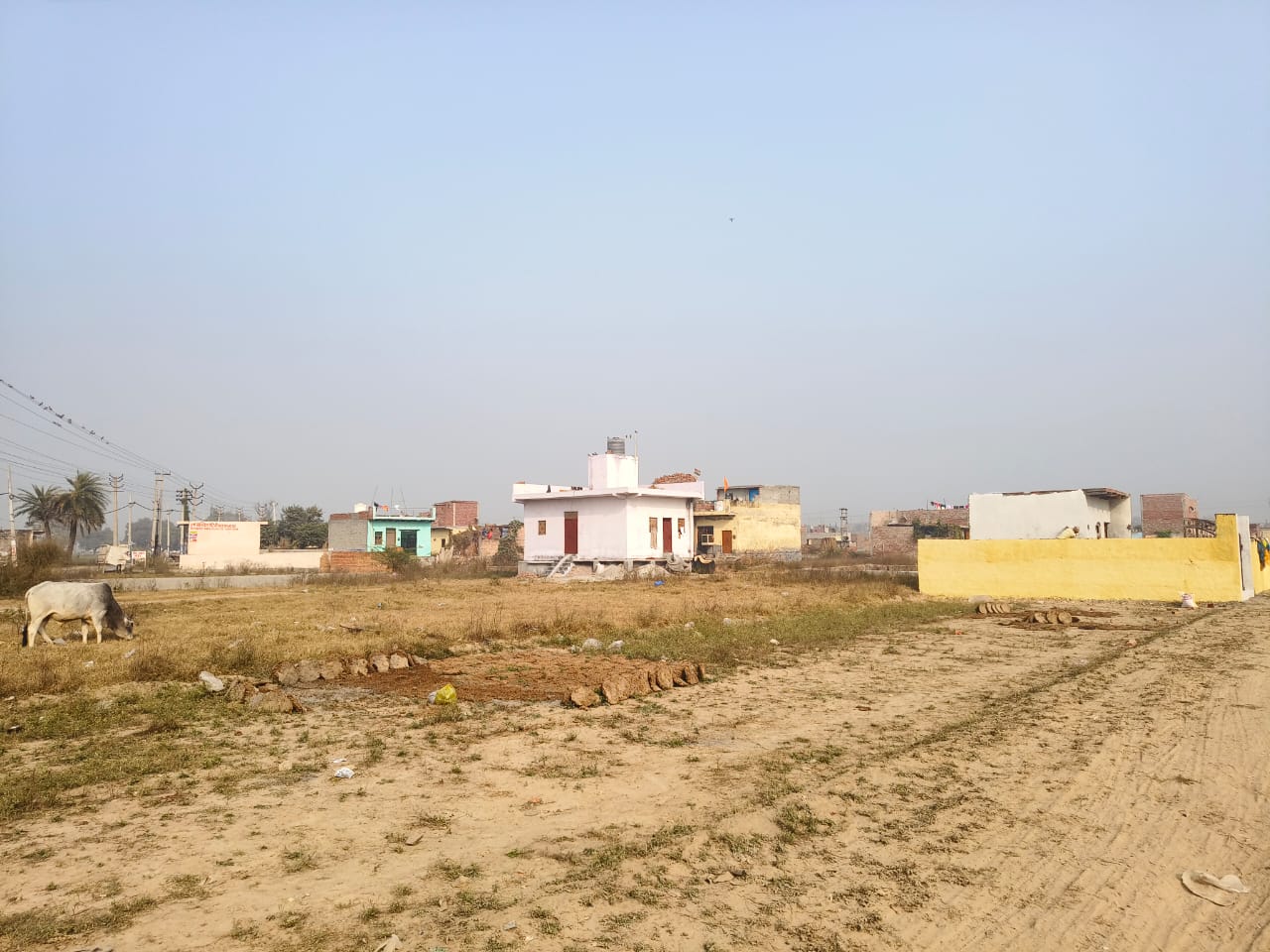 Plot For Resale in Sector 89 Faridabad  6486307