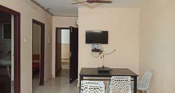 2 BHK Builder Floor For Rent in Chandra Apartment Banjara Hills Banjara Hills Hyderabad 6486523