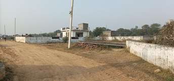  Plot For Resale in Bhopani Village Faridabad 6487015