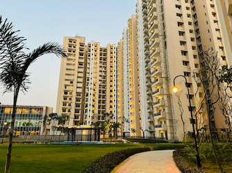 3 BHK Apartment For Resale in Oasis GrandStand Yex Sector 22d Greater Noida  6487712