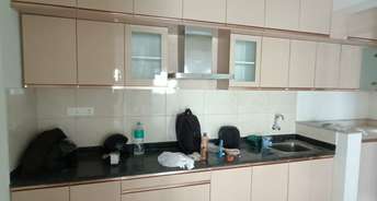3 BHK Apartment For Rent in Goyal Orchid Piccadilly Thanisandra Main Road Bangalore 6487804