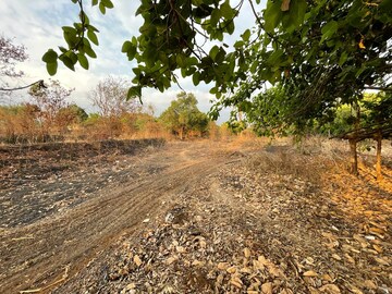 Plot Area in  Plot at Vasind – for Sale