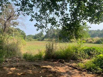 Plot Area in  Plot at Vasind – for Sale