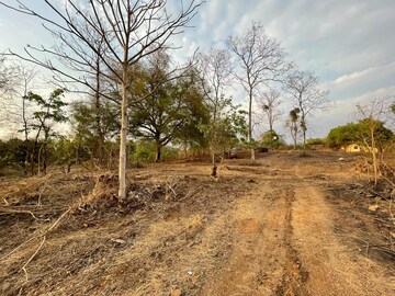 Plot Area in  Plot at Vasind – for Sale