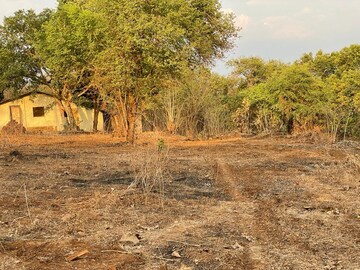 Plot Area in  Plot at Vasind – for Sale