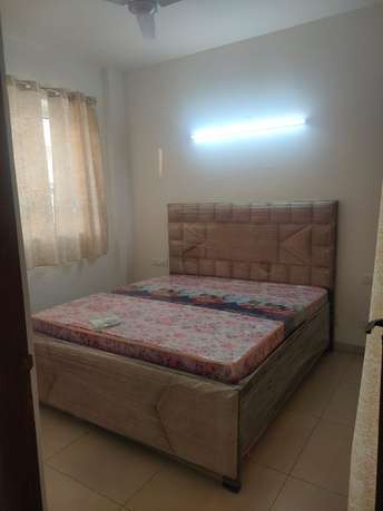 1 BHK Apartment For Rent in Ambala Highway Zirakpur 6488314