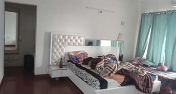 3.5 BHK Apartment For Rent in Mapsko Royale Ville Sector 82 Gurgaon 6488436