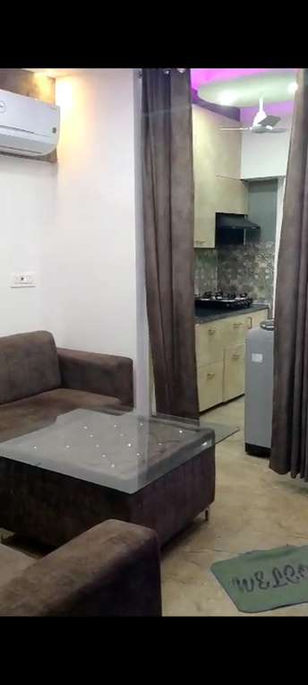1 RK Apartment For Rent in DLF Capital Greens Phase 3 Moti Nagar Delhi 6488561