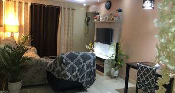 3 BHK Apartment For Rent in Ozone Evergreens Harlur Bangalore 6488694