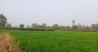 Commercial Land 5 Acre For Resale In Benti Lucknow 6488883