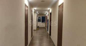 3 BHK Penthouse For Rent in Lamane Impereial Heights Salan Gaon Dehradun 6489753